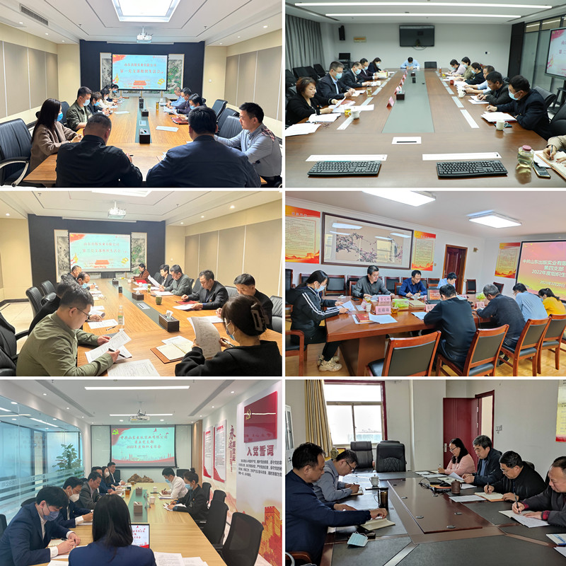 實業(yè)公司各黨支部圓滿完成2022年度組織生活會和民主評議黨員工作