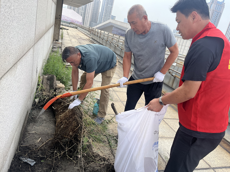 煙臺(tái)分公司黨支部開展“清除樓頂雜草、消除安全隱患”主題活動(dòng)